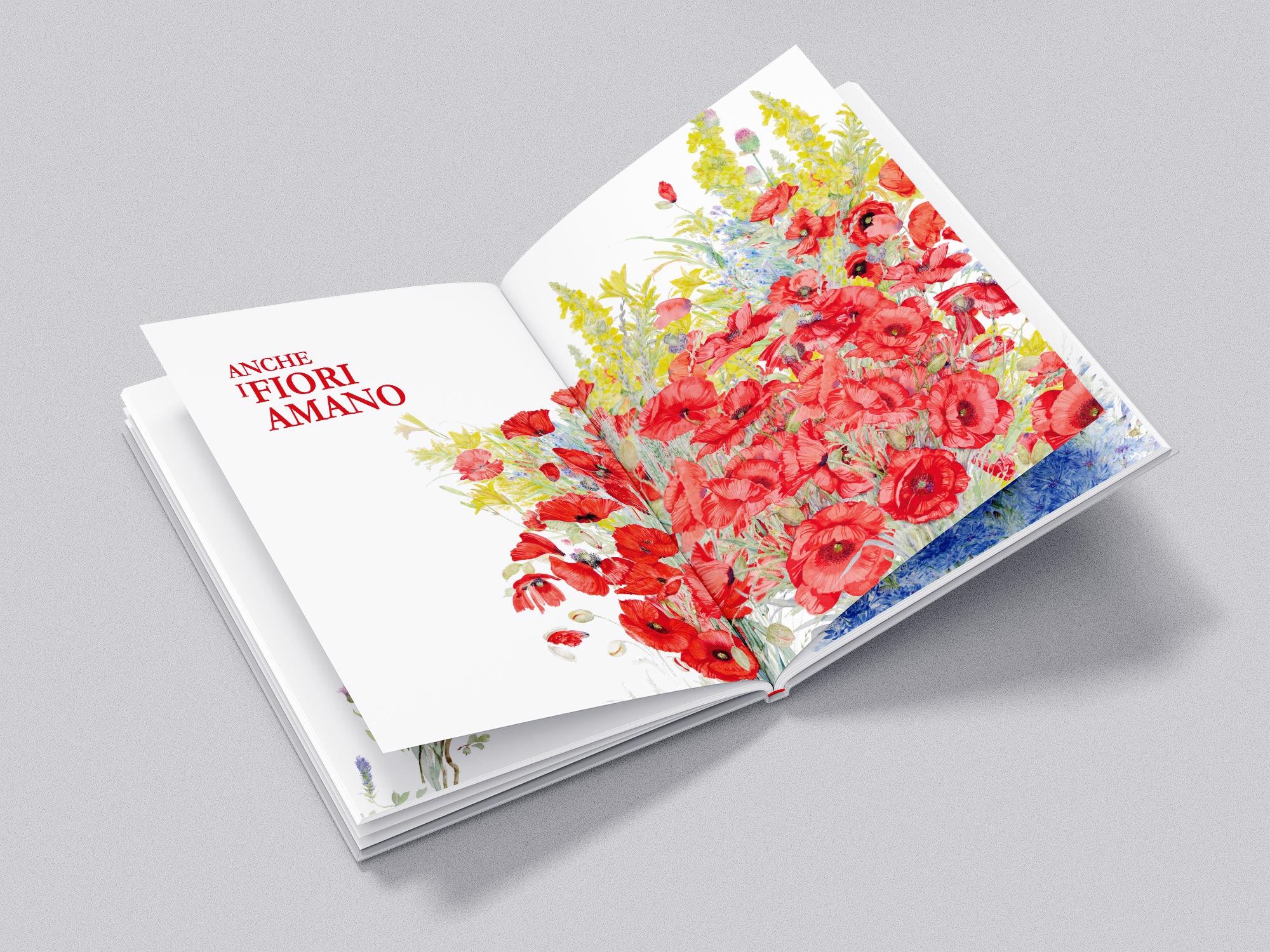 cesdm-articolo-book